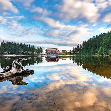 Hotel Mummelsee Seebach