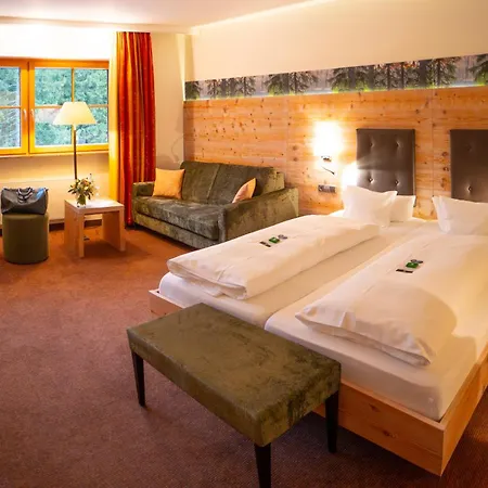 Mummelsee ホテル 3*