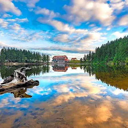 Отель Mummelsee