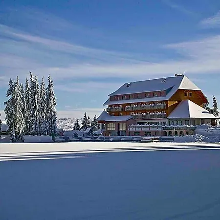Отель Mummelsee 3*