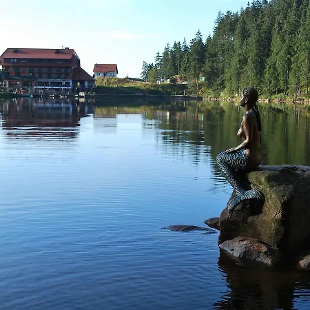 호텔 Mummelsee 3*